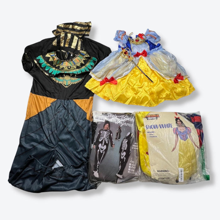 Halloween Costumes Customer Returns Wholesale